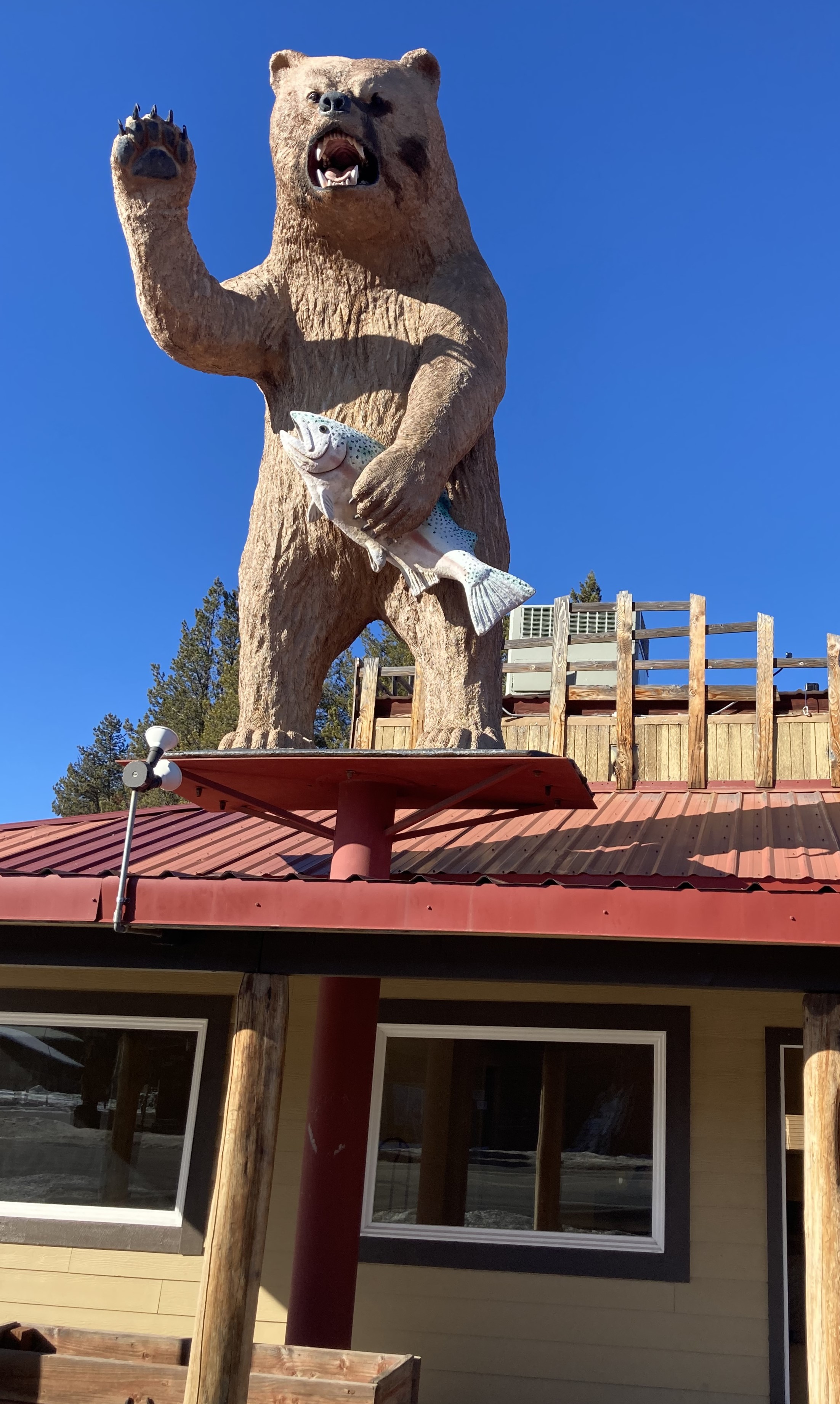 Crescent Branch Library - A sculpture of a bear waving and holding a fish on top of a metal roof