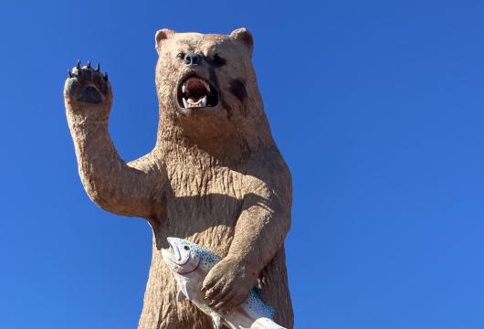 Crescent Branch Library - A sculpture of a bear waving and holding a fish on top of a metal roof