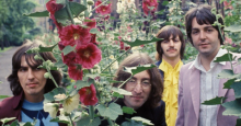The four band members of The Beatles pose around tall hollyhock flowers.