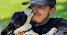 Marcus Shepherd squints as a Cardigan Welsh Corgi licks his nose.