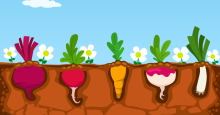 A cartoon illustration of a vegetable garden, shown in a cutaway view to show the shapes of vegetables growing below ground: a beet, a radish, a carrot, a turnip, and a leek.