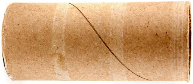 An empty toilet paper roll